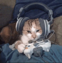 Cat_videogames